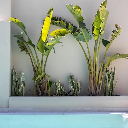 Lythari Summer Villa *